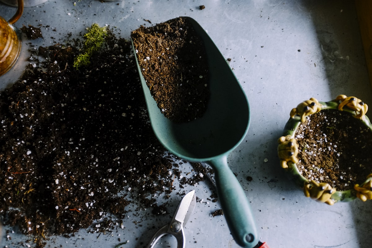 Natural plant décor