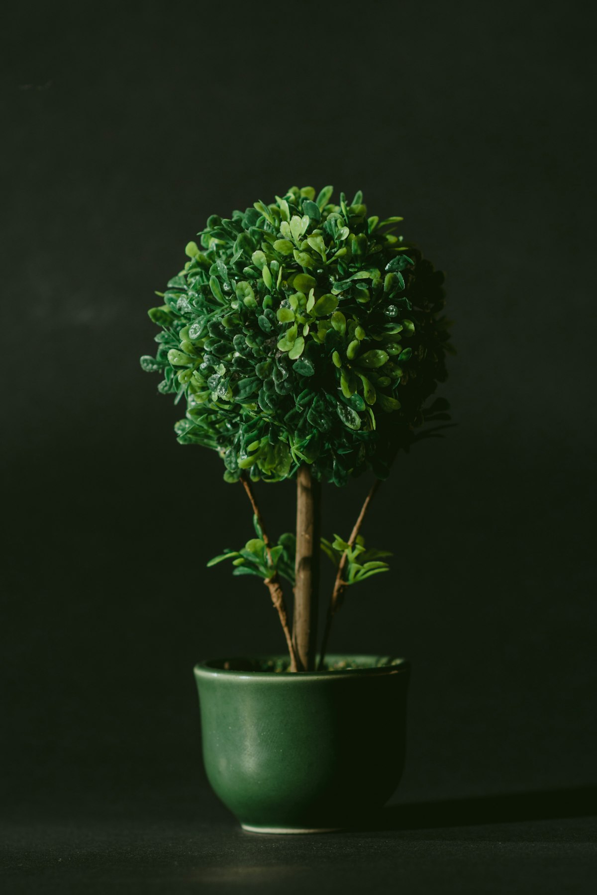 Eco-conscious natural accessories