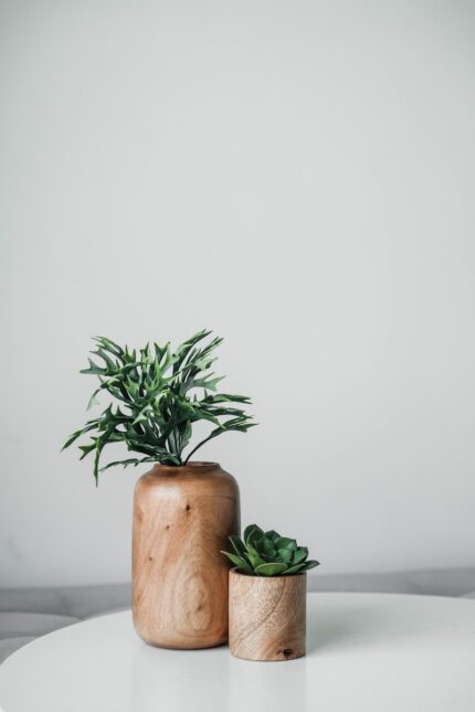 Premium Indoor Garden Collection